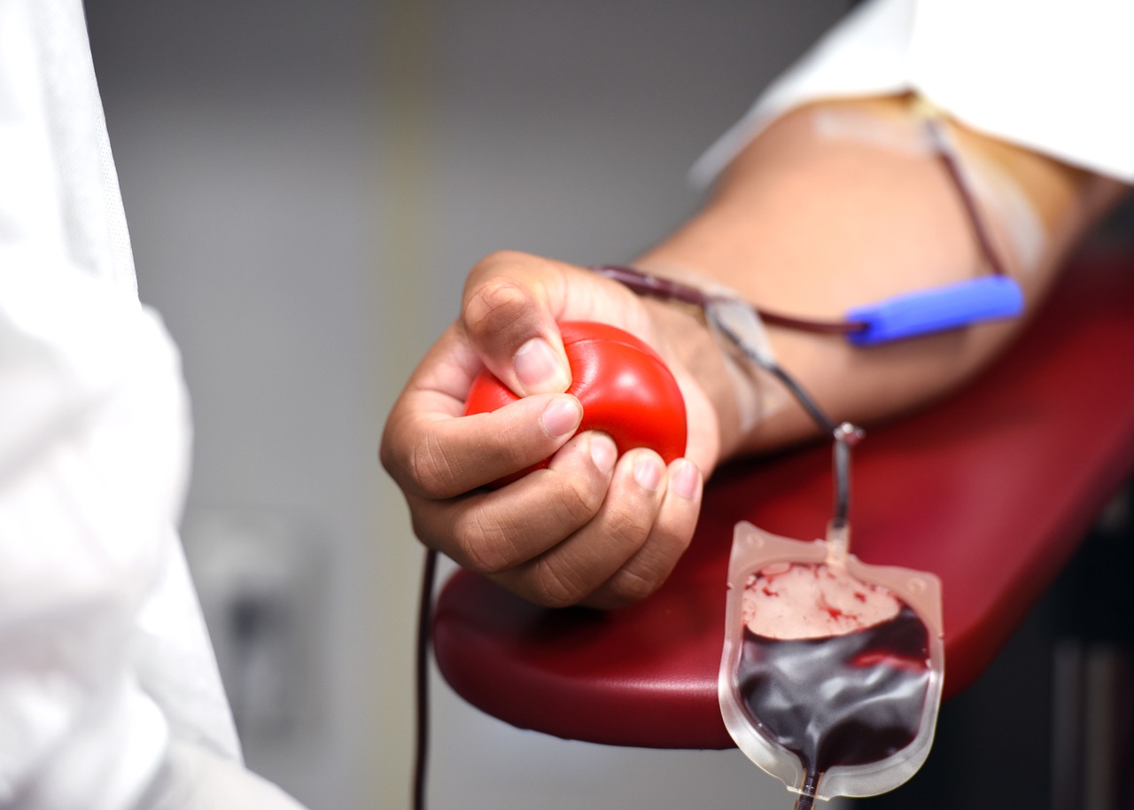 Avis Sestri Levante - La Donazione